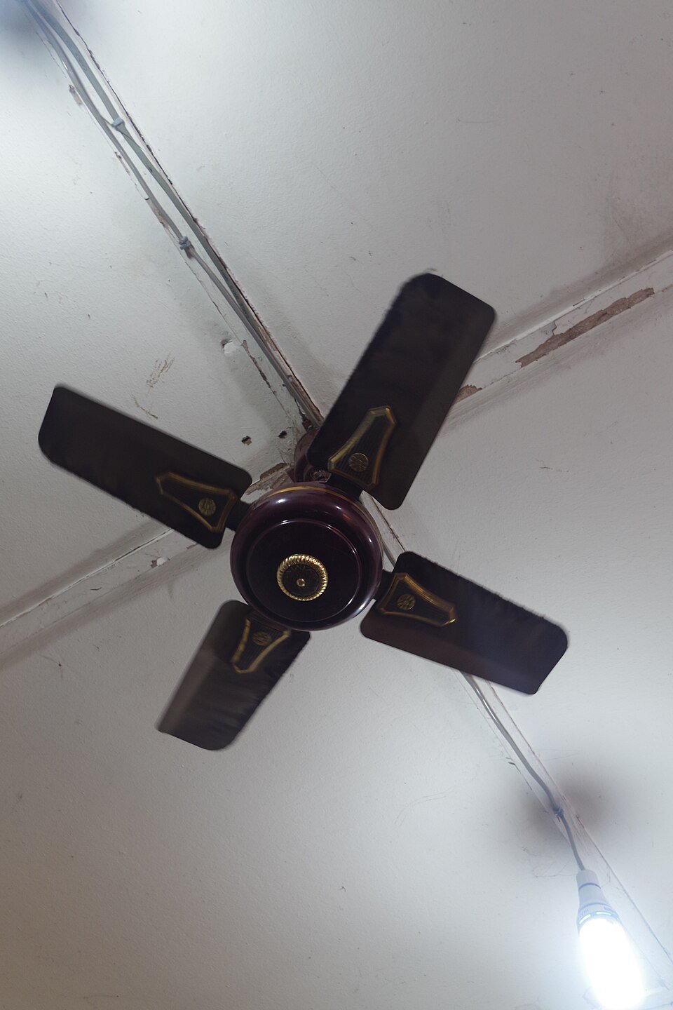 Ceiling Fans